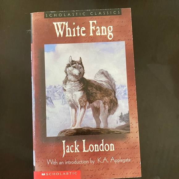 BUNDLE OF SCHOLASTIC CLASSIC BOOKS - Picture 5 of 6